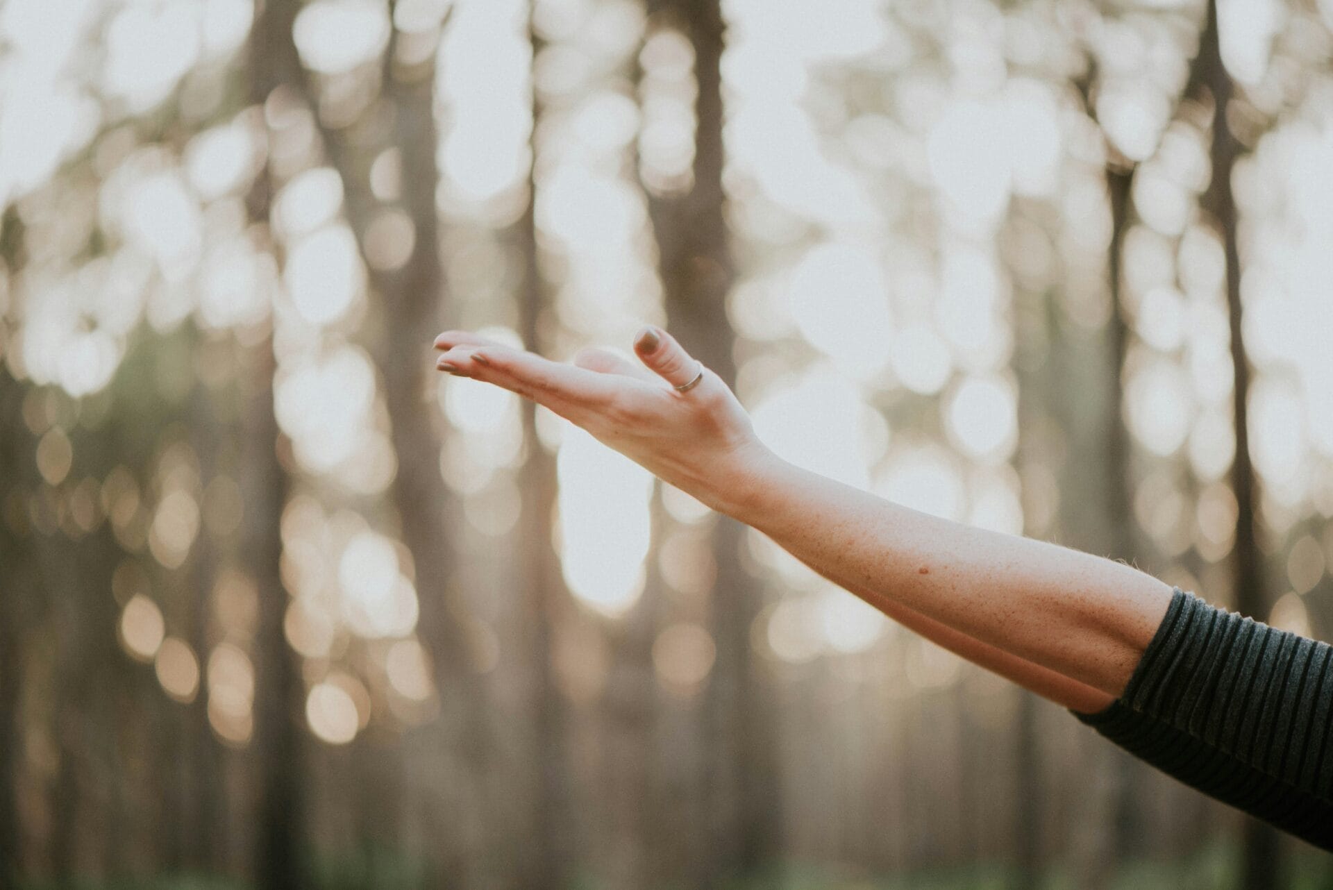 The Role of Occupational Therapy in Eating Disorder Treatment